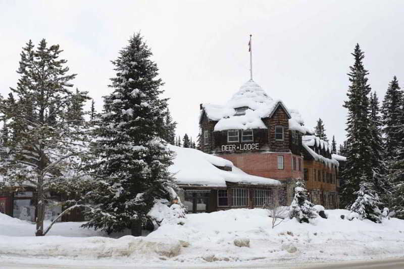 Deer Lodge Lago Louise Exterior foto